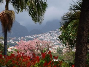 madeira-funchal-cruceros